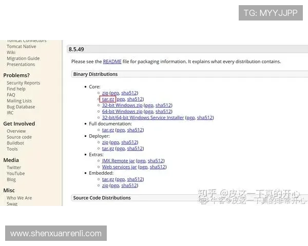 开云网页登入常见错误与解决方案，助您轻松应对登录时的各种问题