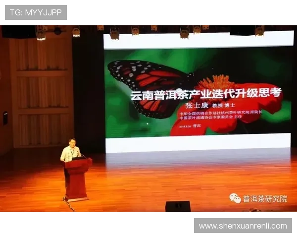 提升开云平台性能的创新技术与优化策略分析