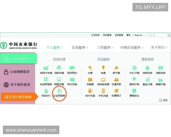 开云开户成功后如何快速激活账户享受专属优惠