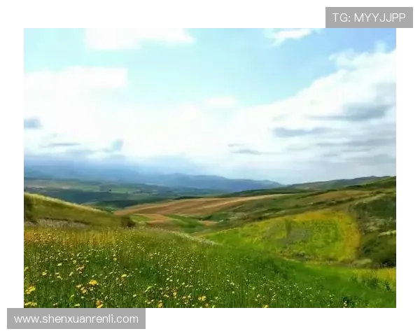 开云官方旗舰店：年度新品发布引领时尚潮流风向标